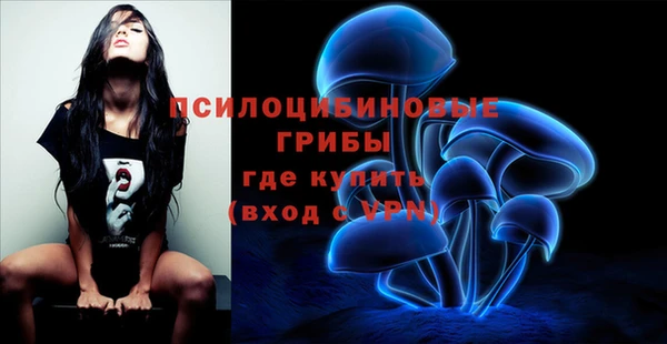 MDMA Premium VHQ Карталы