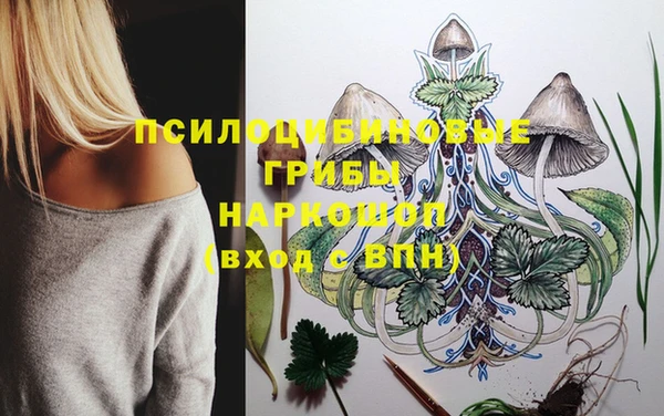 MDMA Premium VHQ Карталы