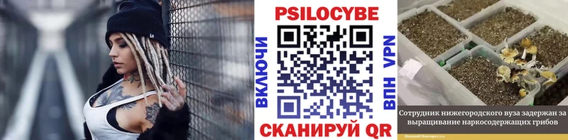 Псилоцибиновые грибы Psilocybe  где продают   Краснозаводск 